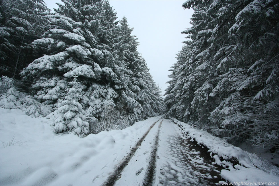 Glenshane Forest Snow