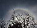 22 Degree Moon Halo