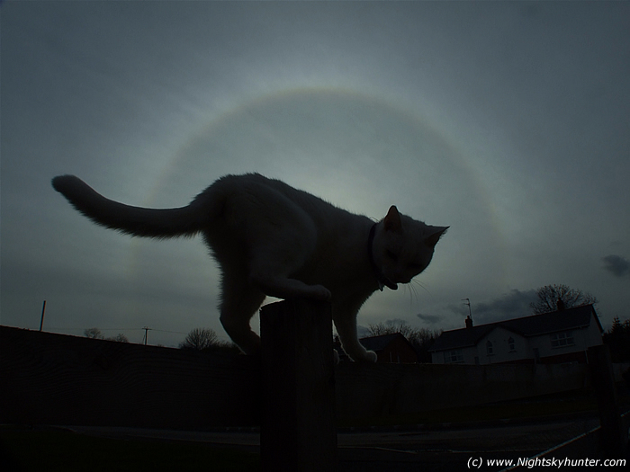 Gizmo & Sun Halo