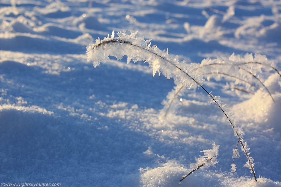 Hoar Frost