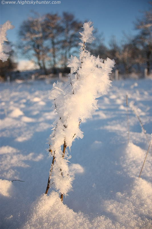 Hoar Frost