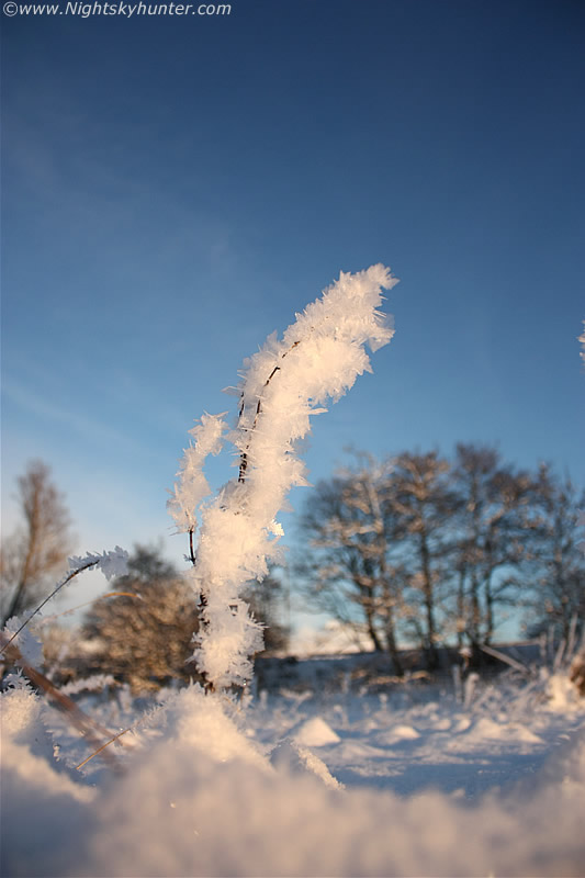 Hoar Frost