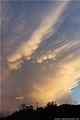 Mammatus