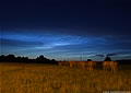 Noctilucent Clouds