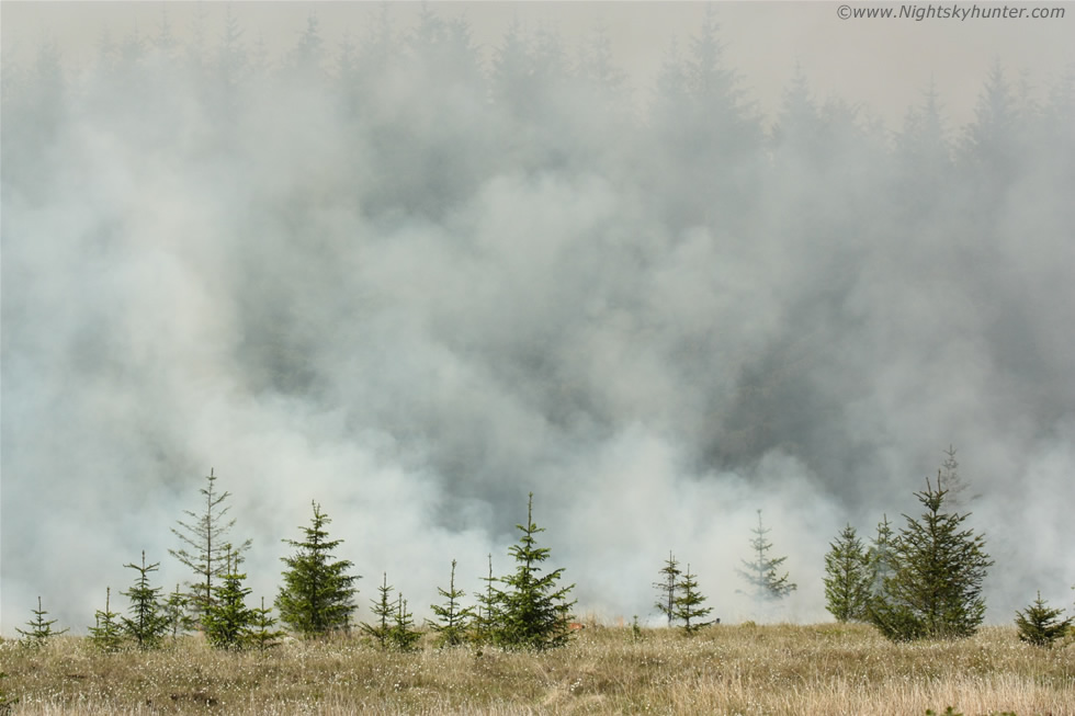 Omagh Gorse Fire