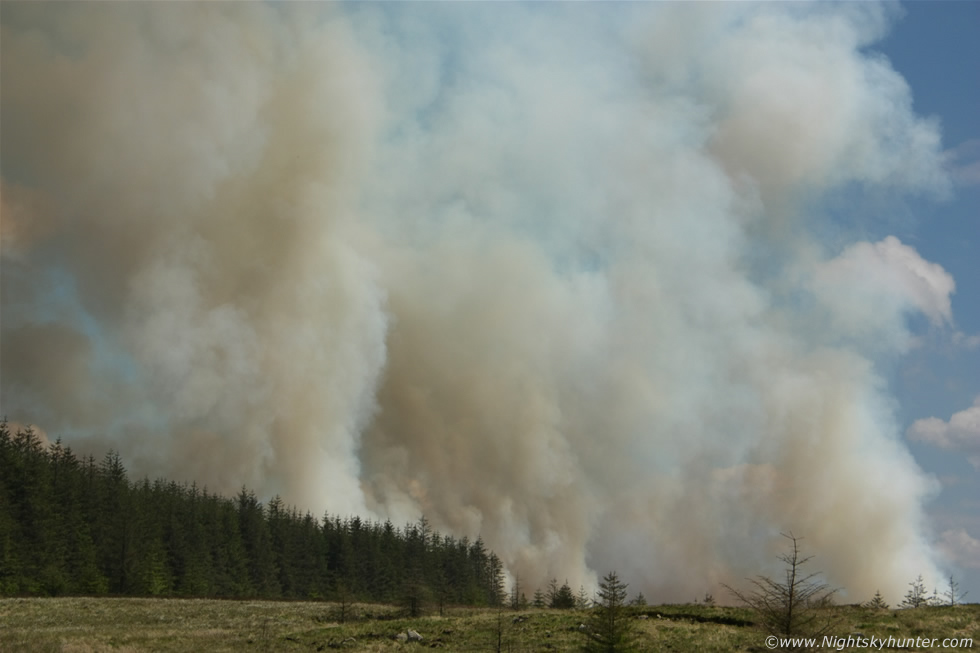 Omagh Gorse Fire