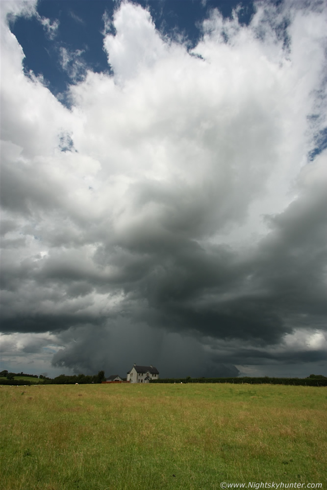 Single Cell Storm