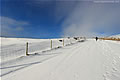 Snow Landscape 