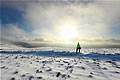 Snow landscape