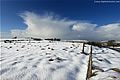 Snow Landscape