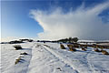 Snow Landscape