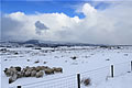 Snow landscape