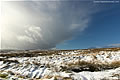 Snow Landscape