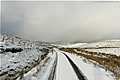 Snow Landscape