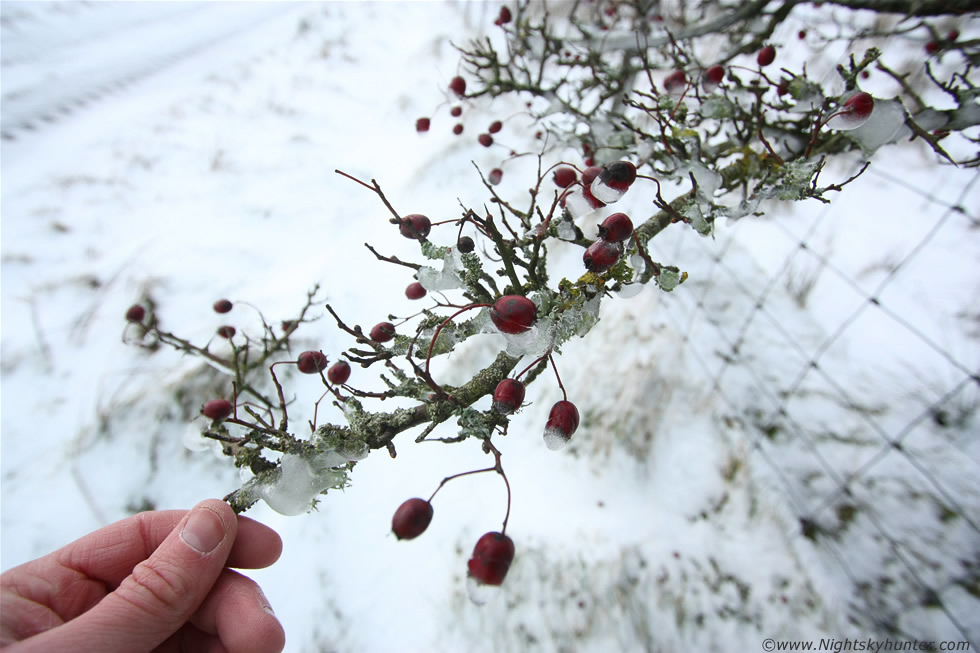 Winter Storm