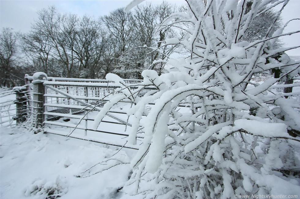 Winter Storm 2013