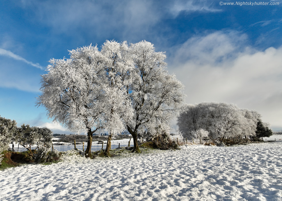 Beautiful Hoar Frost