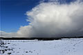 Snow landscape